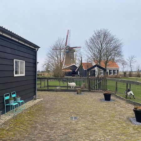 Suite School 15 B Zonnemaire Eksteriør bilde