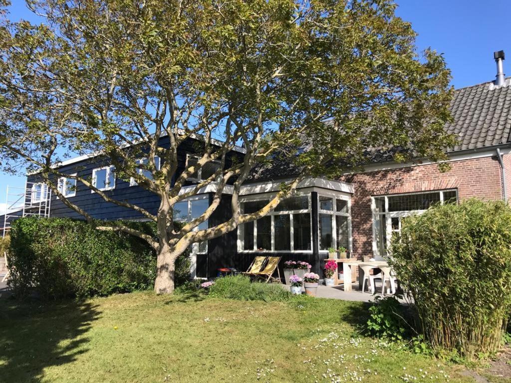 Suite School 15 B Zonnemaire Eksteriør bilde