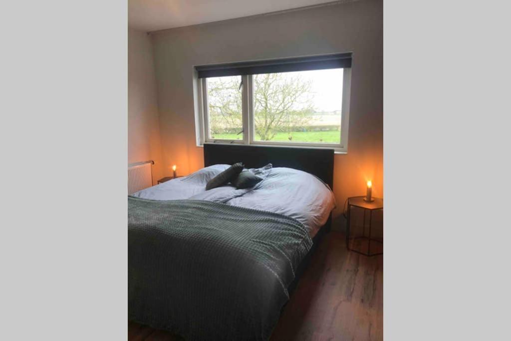Suite School 15 B Zonnemaire Eksteriør bilde